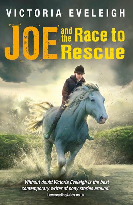 The Horseshoe Trilogy: Joe and the Race to Rescue: Book 3 by Victoria  Eveleigh - Books - Hachette Australia