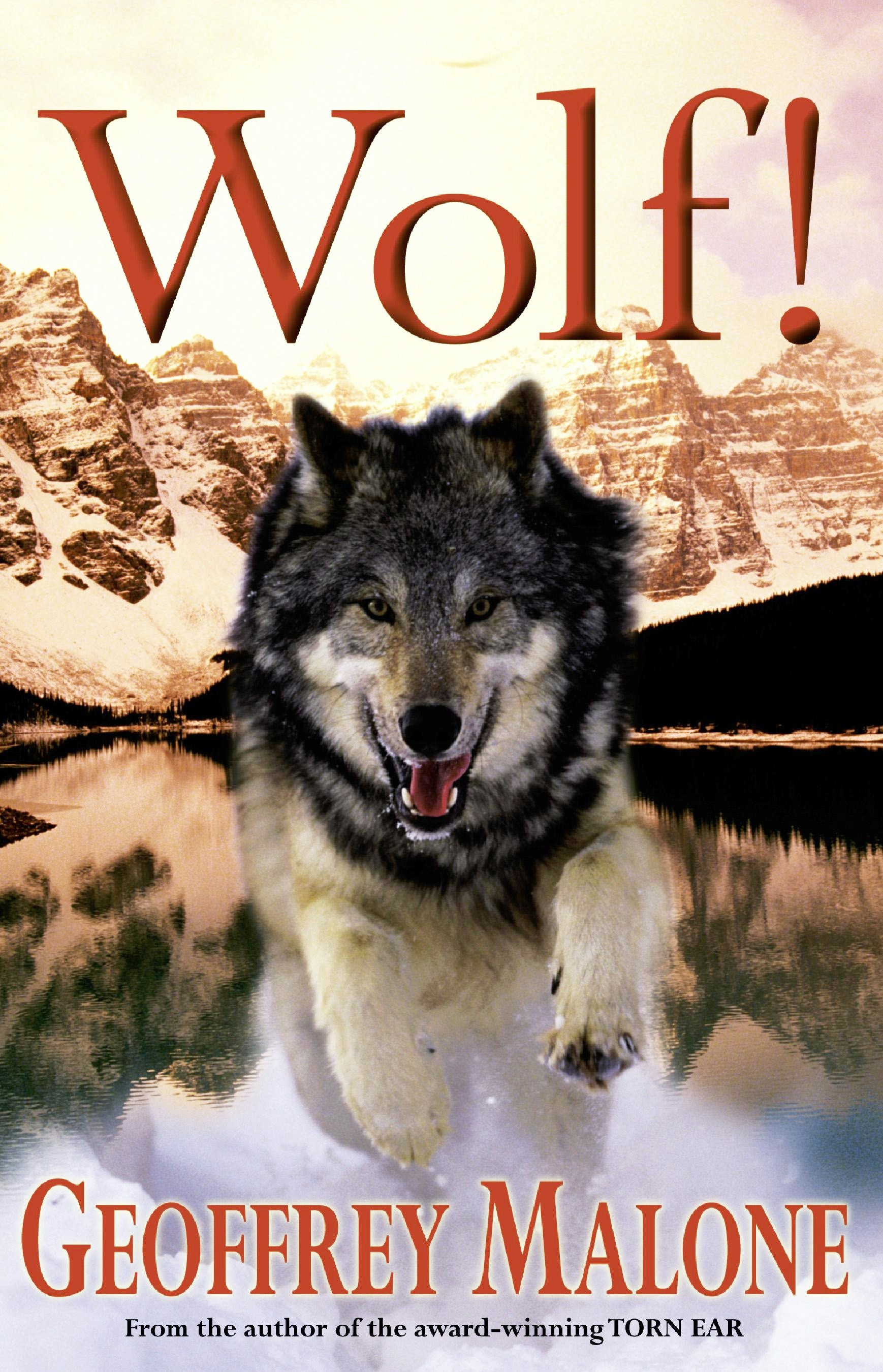 Wolf By Geoffrey Malone Books Hachette Australia