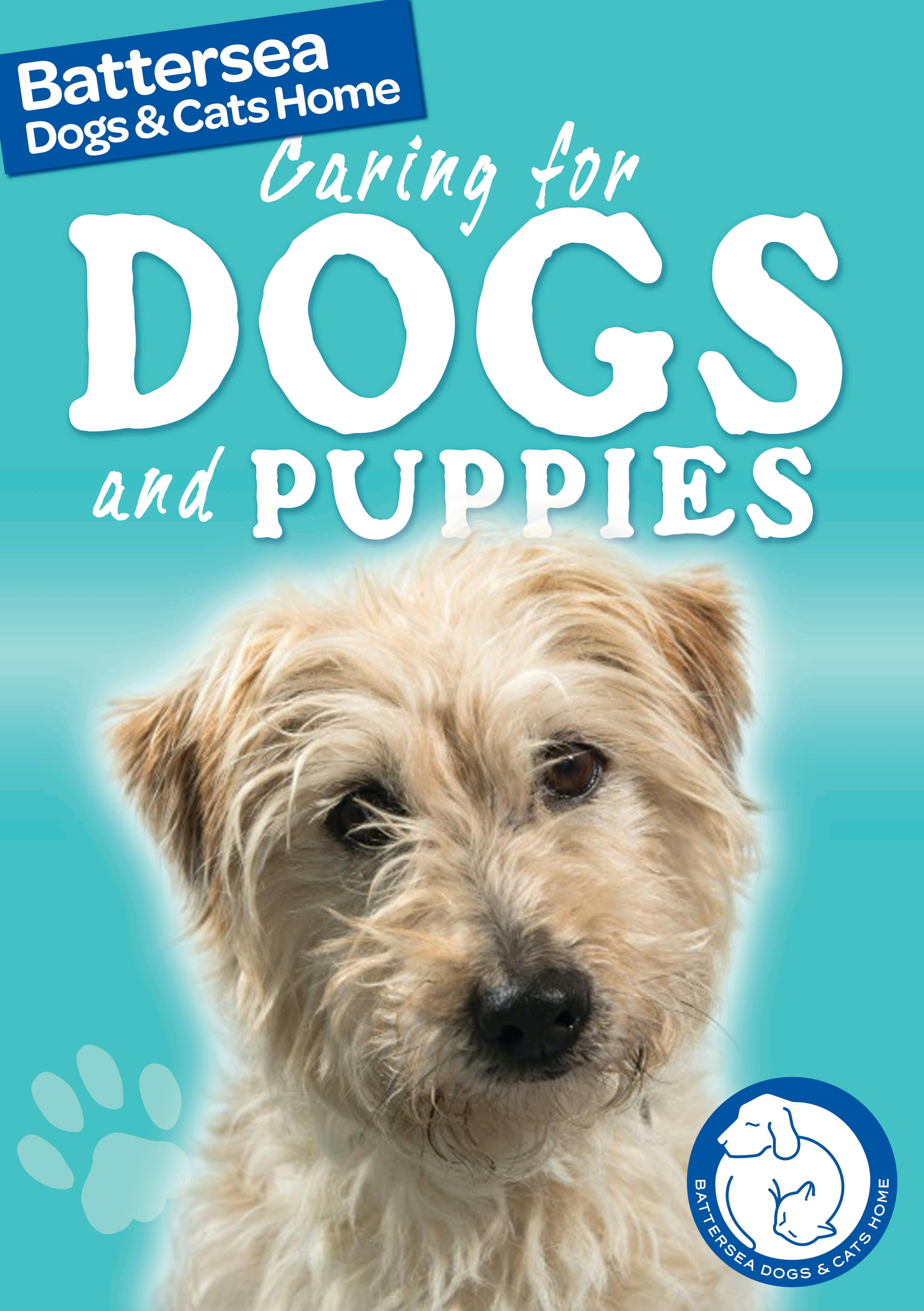 Battersea Dogs & Cats Home: Pet Care Guides: Caring for Dogs and Puppies by  Ben Hubbard - Books - Hachette Australia