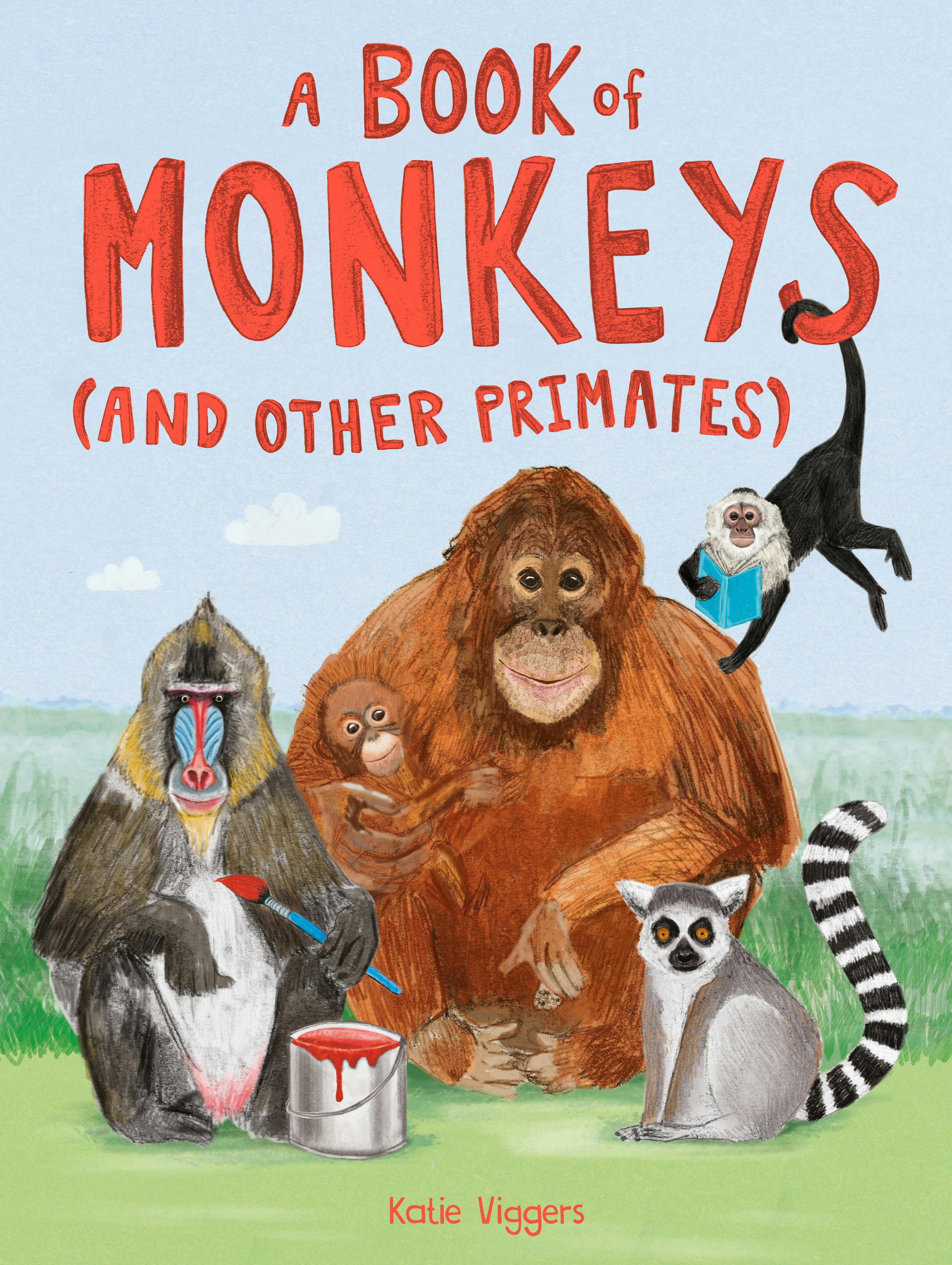 A Book of Monkeys (and other Primates) by Katie Viggers - Books - Hachette  Australia