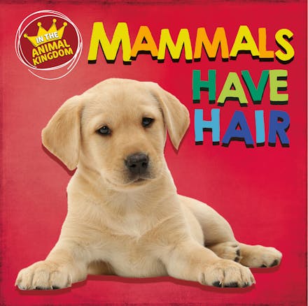 In the Animal Kingdom: Mammals Have Hair by Sarah Ridley - Books - Hachette  Australia
