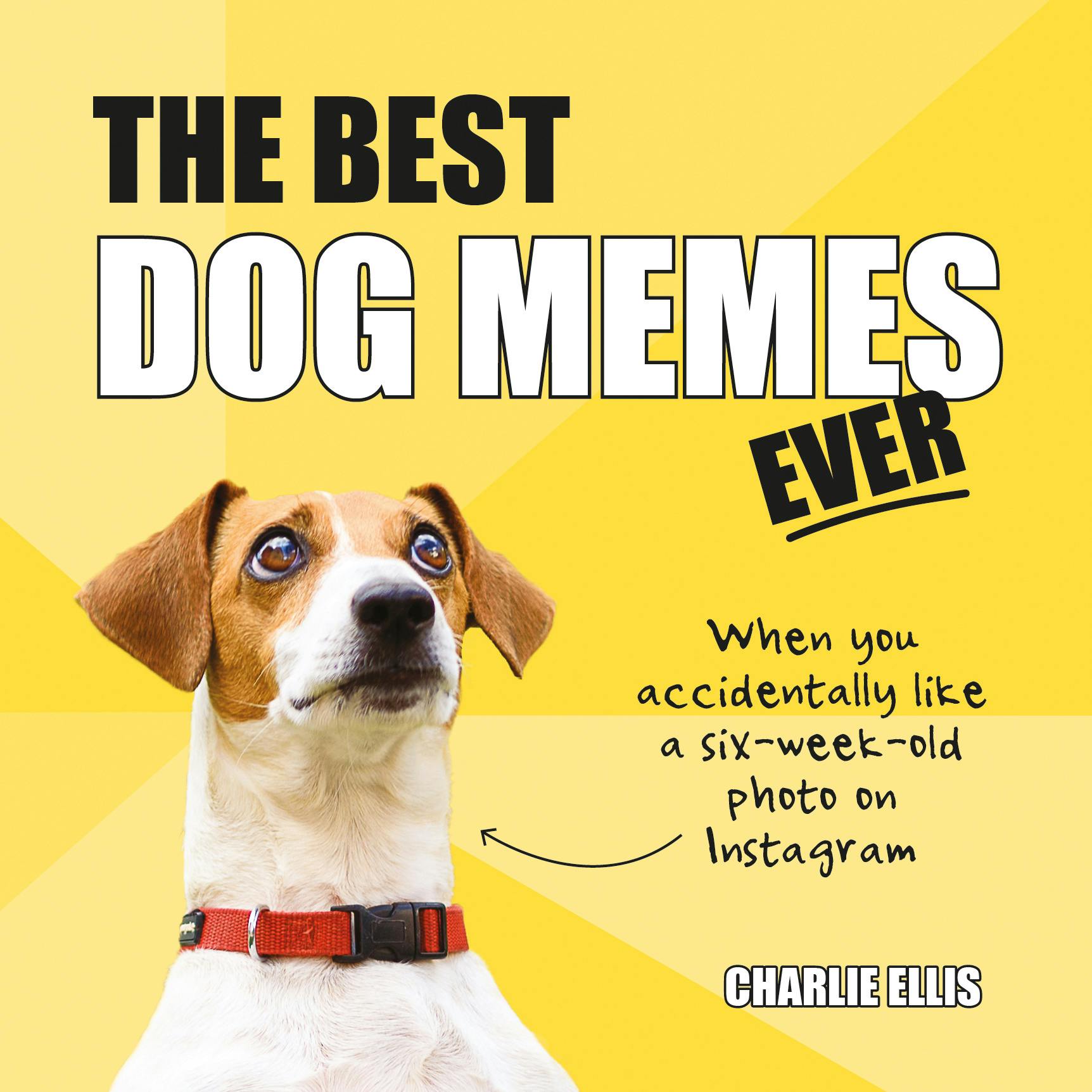 The Best Dog Memes Ever: The Funniest Relatable Memes as Told by Dogs by  Charlie Ellis - Books - Hachette Australia