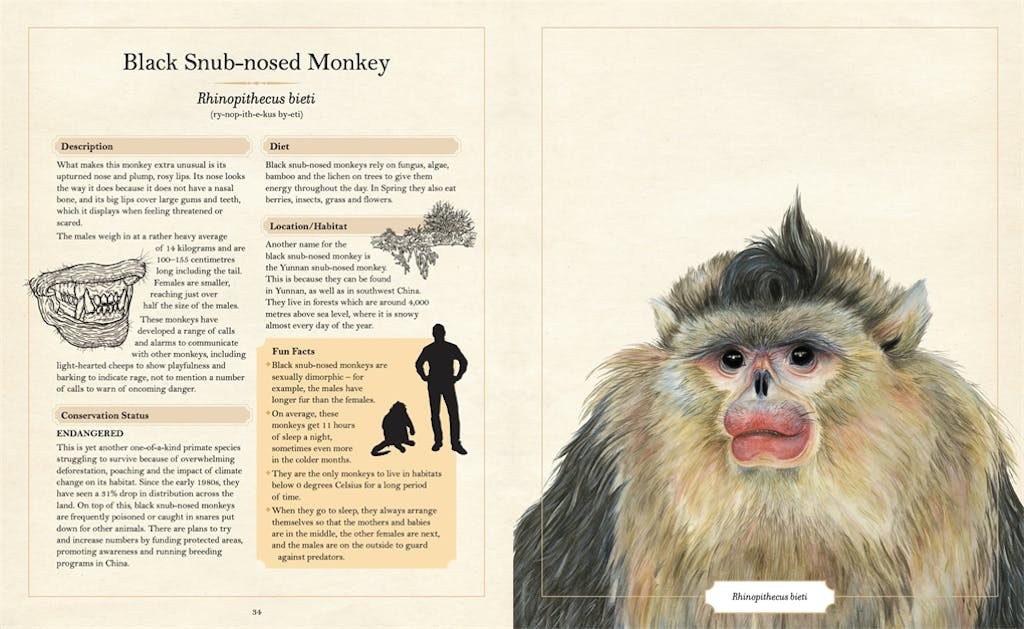 The Illustrated Encyclopaedia of Ugly Animals by Sami Bayly - Books -  Hachette Australia